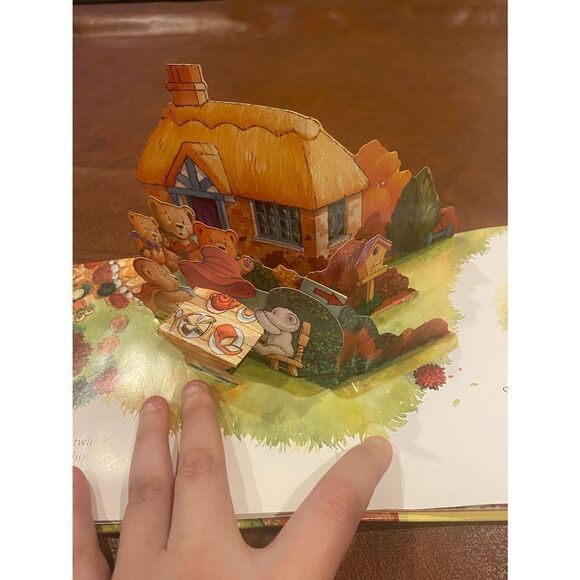 Catch That Hat!: The Magical World of Teddies Childrens Pop up Book NWOT - Picture 6 of 8